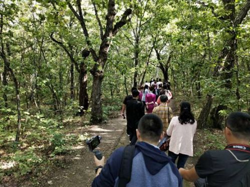 微信图片_20190904150002.jpg